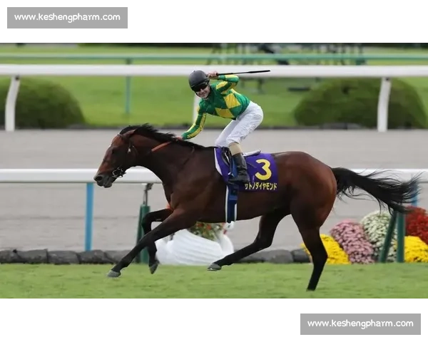 刚劲力登顶菊花赏！李慕华铸就三连冠传奇