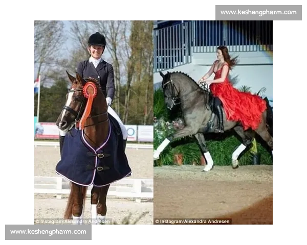 现实版 “马术大富翁” 亮相赛场 观众玩着学马术