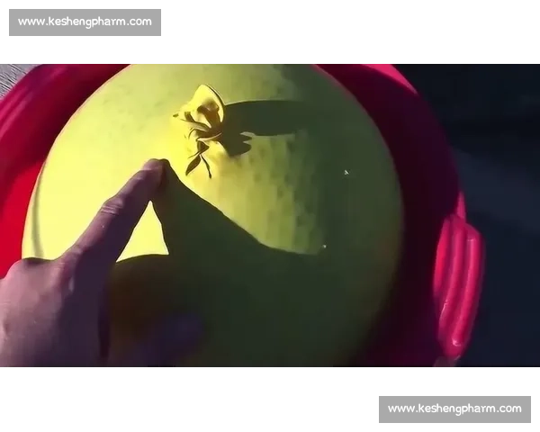 收球瞬间的惊鸿一钩 收球瞬间的惊鸿一钩