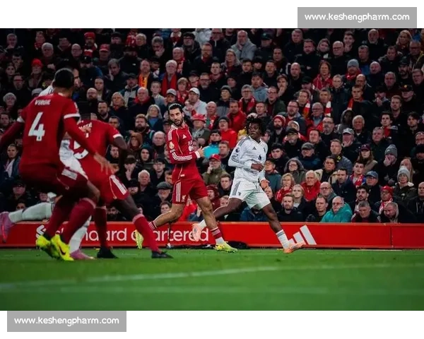 沙德:我们做到了!布伦特福德 3-2 掀翻利物浦 沙德:我们做到了!布伦特福德 3-2 掀翻利物浦