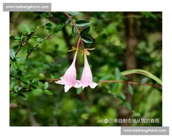 白教视角：滔搏八强之路，每一秒都攥心