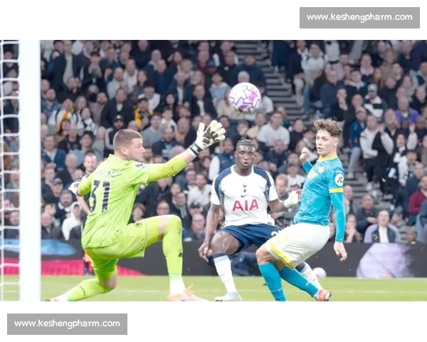 帕利尼亚：埃弗顿主场零封不易，热刺值得掌声