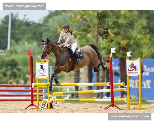 锦标赛落幕，教练支招青少年马术进阶